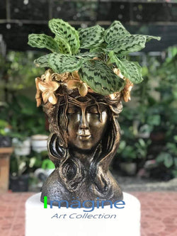 Stonecast Flower Crown Pots for Plants SKU# IAC0012
