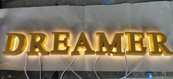 LED Custom Indoor Letter Lights for Business/Home SKU#LIG0098
