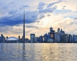 3D Wallpaper Various City of Toronto SKU# WAL0168