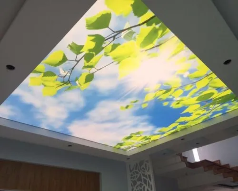Led Mural Custom LED 3D Ceiling / Wall Murals