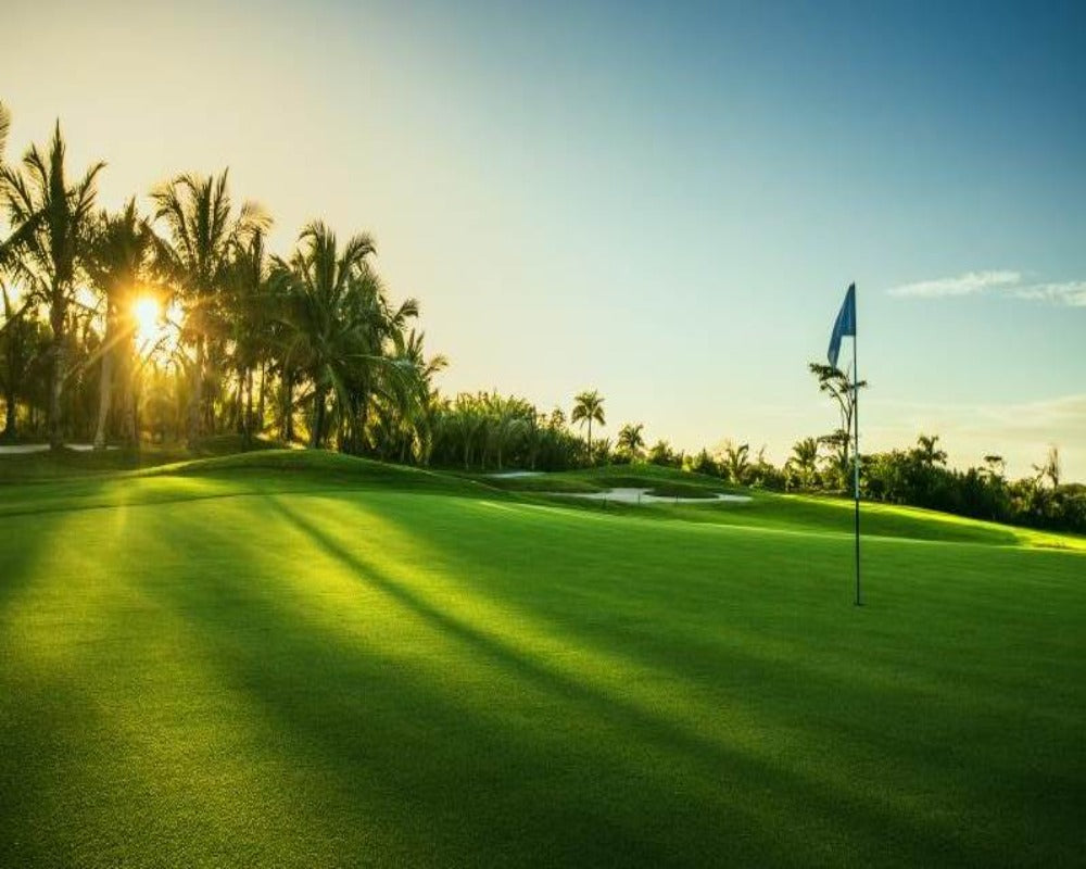 3D Wallpaper Various Golf Greens Scenery SKU# WAL0373