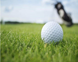 3D Wallpaper Various Golf Greens Scenery SKU# WAL0373
