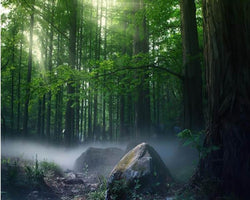 3D Wallpaper Natural Mystic Scenery