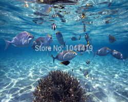 3D Wallpaper Aquarium Wildlife 