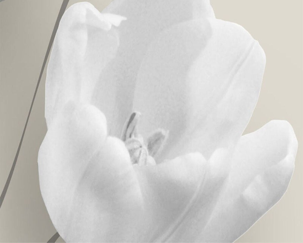 Floral Inspired 3D Wallpaper Tulip Butterfly