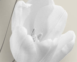 Floral Inspired 3D Wallpaper Tulip Butterfly