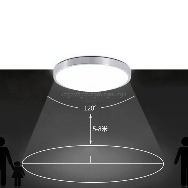 New Motion Sensor/Radar Ceiling Acrylic SKU# LIG0059